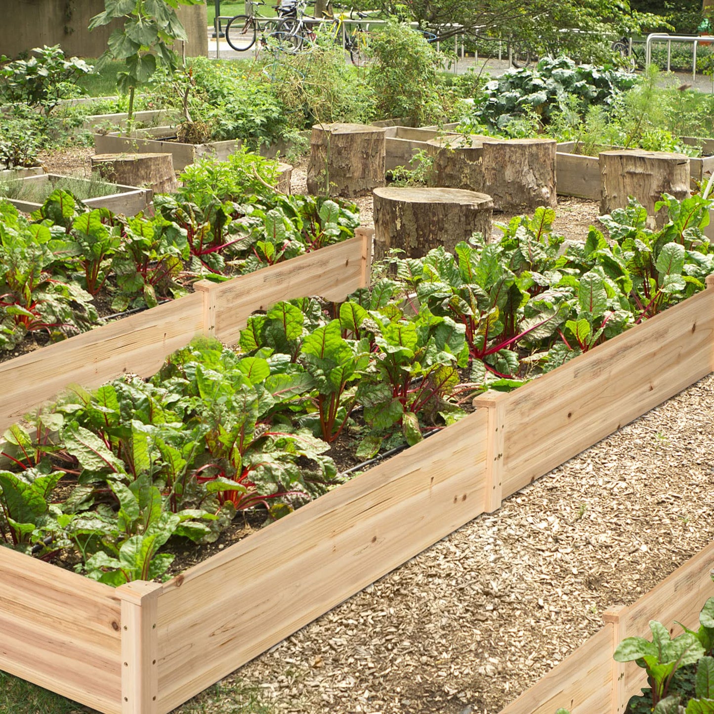 Natural Raised Garden Bed Elevated Planter Box with Open Bottom, 97”L x 25.5”W x 10”H Wooden Growing Bed for Garden Patio Yard