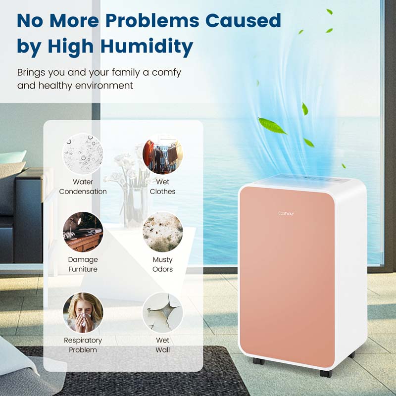 32 Pints 2500 Sq. Ft Portable Quiet Air Dehumidifier for Basement with Sleep Mode, 24H Timer, Auto Shut Off, Auto Defrost