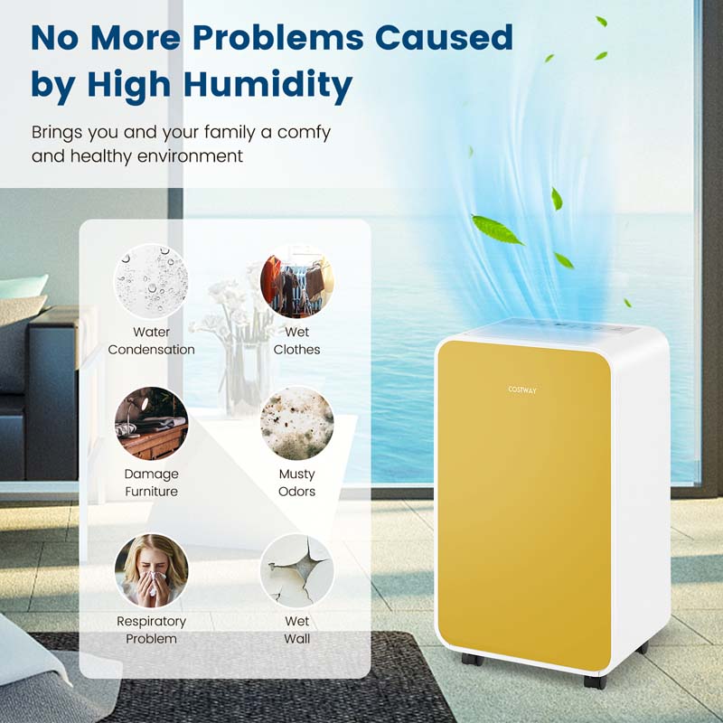 32 Pints 2500 Sq. Ft Portable Quiet Air Dehumidifier for Basement with Sleep Mode, 24H Timer, Auto Shut Off, Auto Defrost
