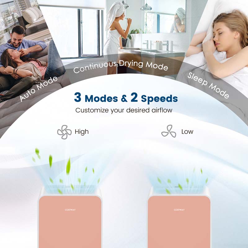 32 Pints 2500 Sq. Ft Portable Quiet Air Dehumidifier for Basement with Sleep Mode, 24H Timer, Auto Shut Off, Auto Defrost