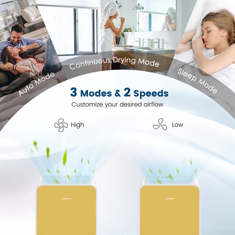 32 Pints 2500 Sq. Ft Portable Quiet Air Dehumidifier for Basement with Sleep Mode, 24H Timer, Auto Shut Off, Auto Defrost